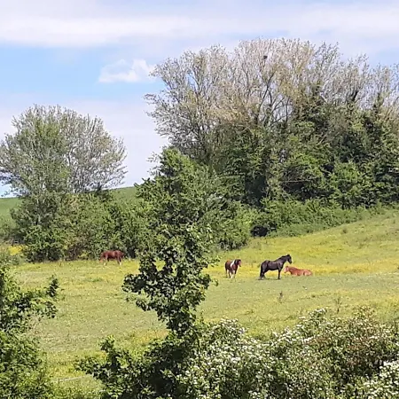 Ai Boschi * Ozzano dell'Emilia