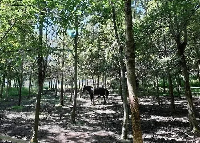 Appartement Ai Boschi *