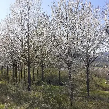 Ai Boschi Διαμέρισμα