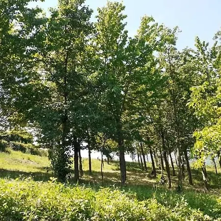 Ai Boschi Διαμέρισμα Ozzano dell'Emilia