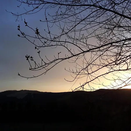 Ai Boschi Apartamento Ozzano dell'Emilia