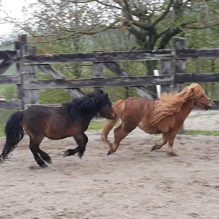 Ai Boschi Διαμέρισμα Ozzano dell'Emilia