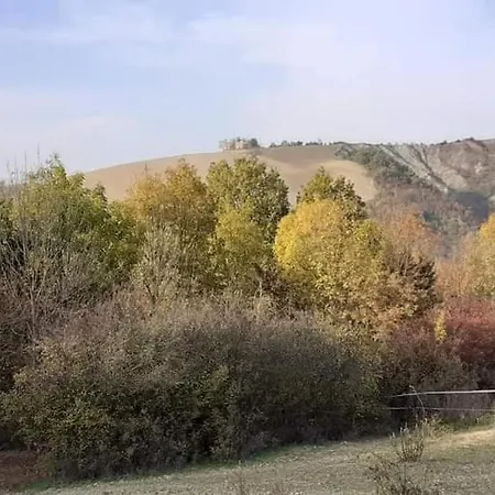 Ai Boschi