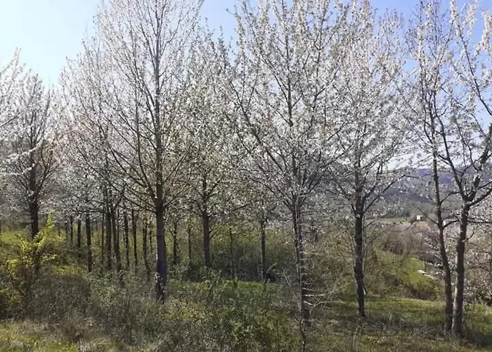 Ai Boschi 公寓