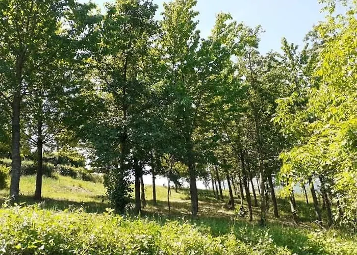 Ai Boschi Apartamento Ozzano dell'Emilia