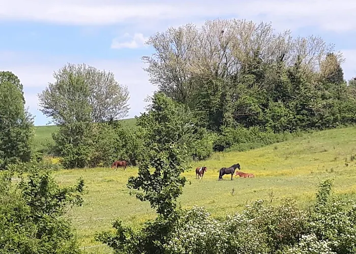 Ai Boschi * Ozzano dell’Emilia