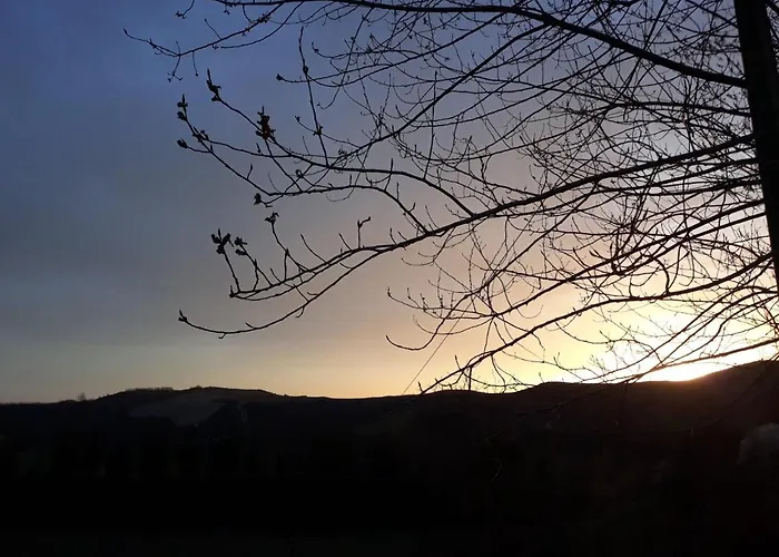 Ai Boschi Apartment Ozzano dell’Emilia