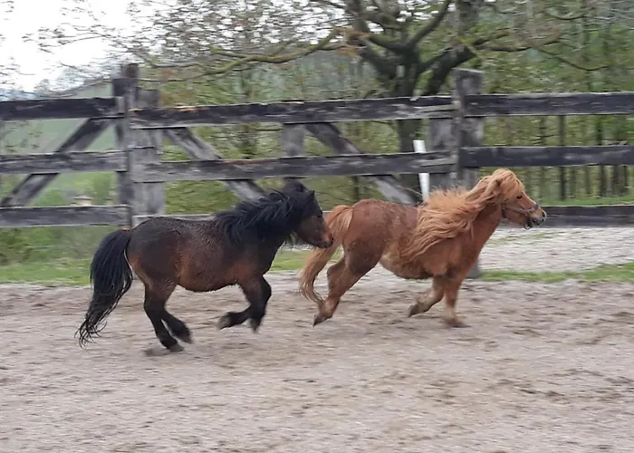 Ai Boschi Apartment Ozzano dell’Emilia